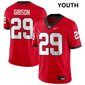 Youth(Kids) #29 Georgia Bulldogs Isaiah Gibson College Football Jerseys - Red